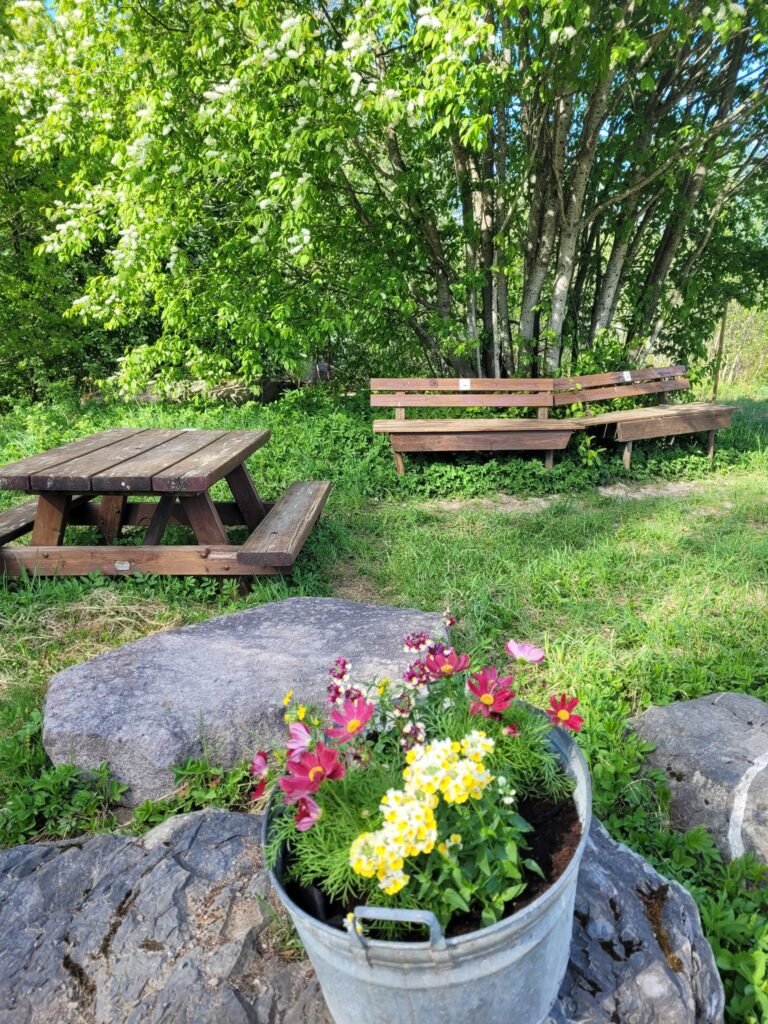 Dugnad i fellesområdet